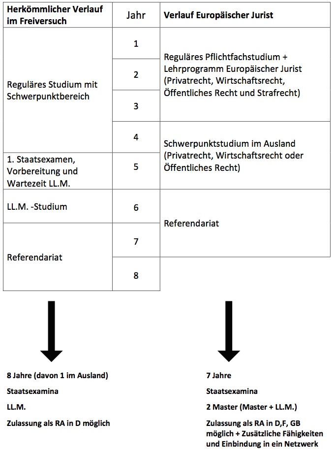 Studienverlauf ELS